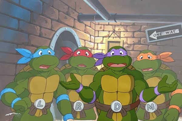 TMNT group